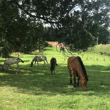 Σπίτι διακοπών Ferme Du Grand Frene