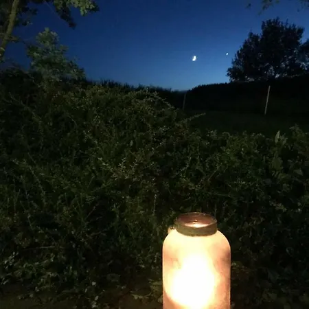 Ferme Du Grand Frene Naomé